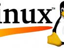 Tux the Penguin, the Linux mascot. [©1997 by Andreas Dilger, used by permission]